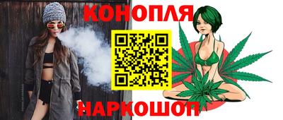 индика Краснознаменск