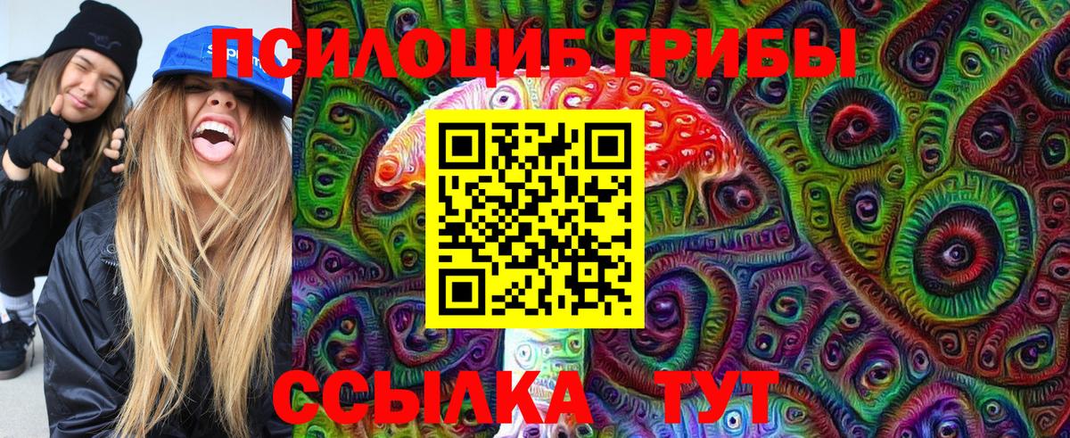 Галлюциногенные грибы прущие грибы Елизово