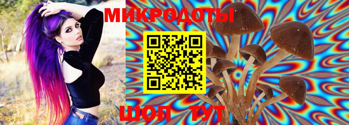 Елизово  Псилоцибиновые грибы Cubensis  Вход с VPN  дарнет шоп  Псилоцибиновые грибы мицелий 